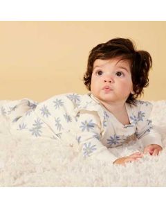 Organic Cotton Baby Girl Onesies 2 Pk Blue/Mint Floral